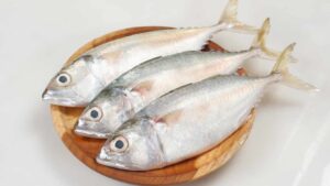 Fatty Fish