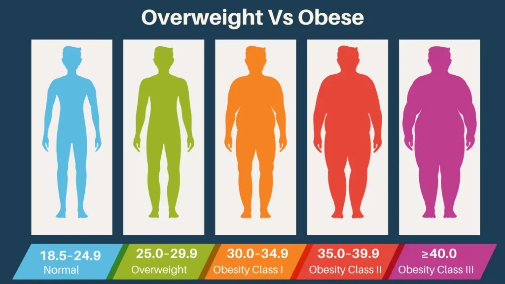 obese vs overweight