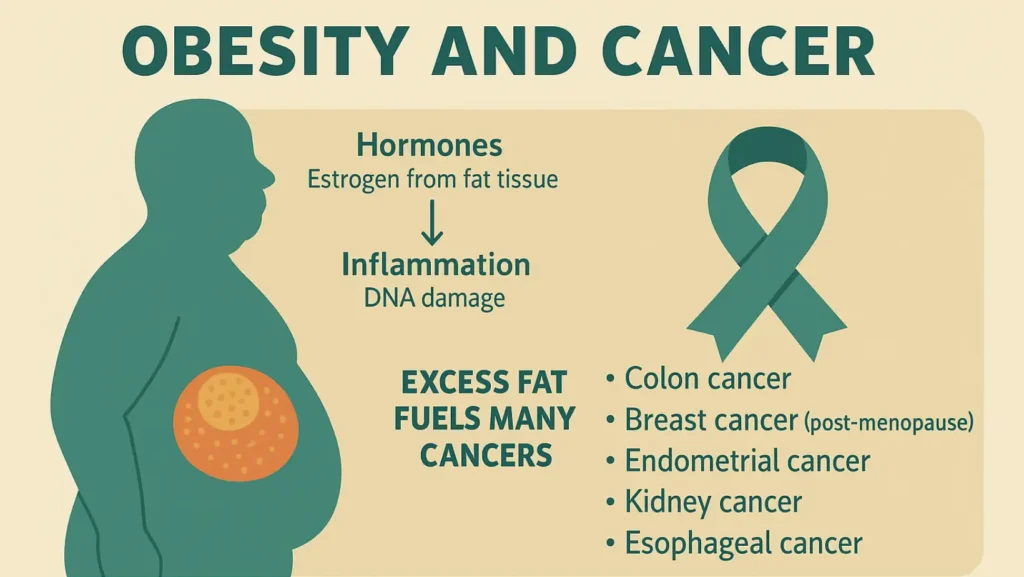 obesity and cancer