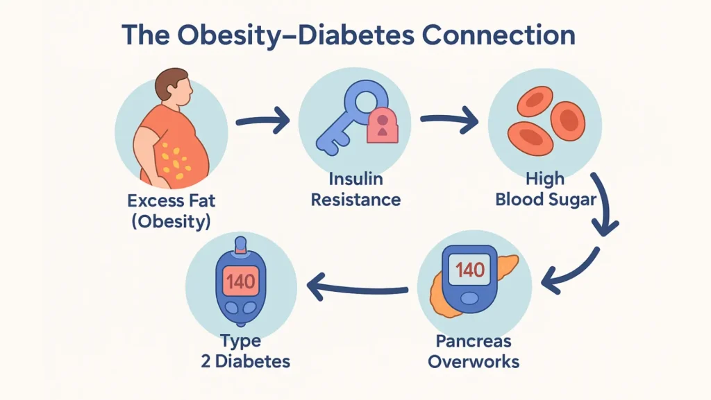 obesity and type 2 diabetes​