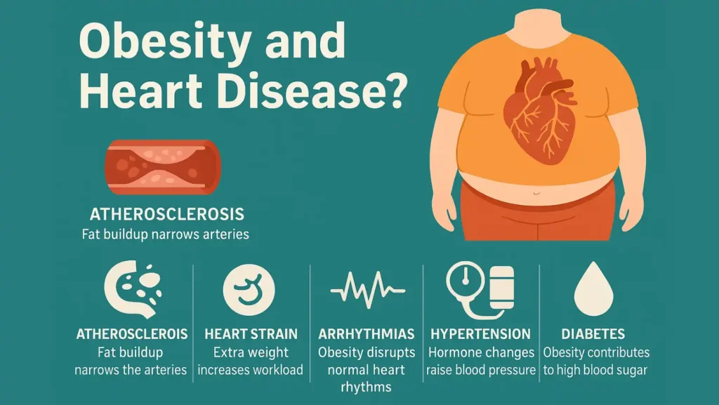 obesity and heart disease