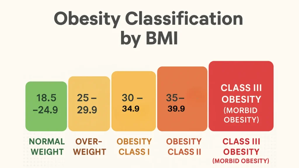 obesity classification