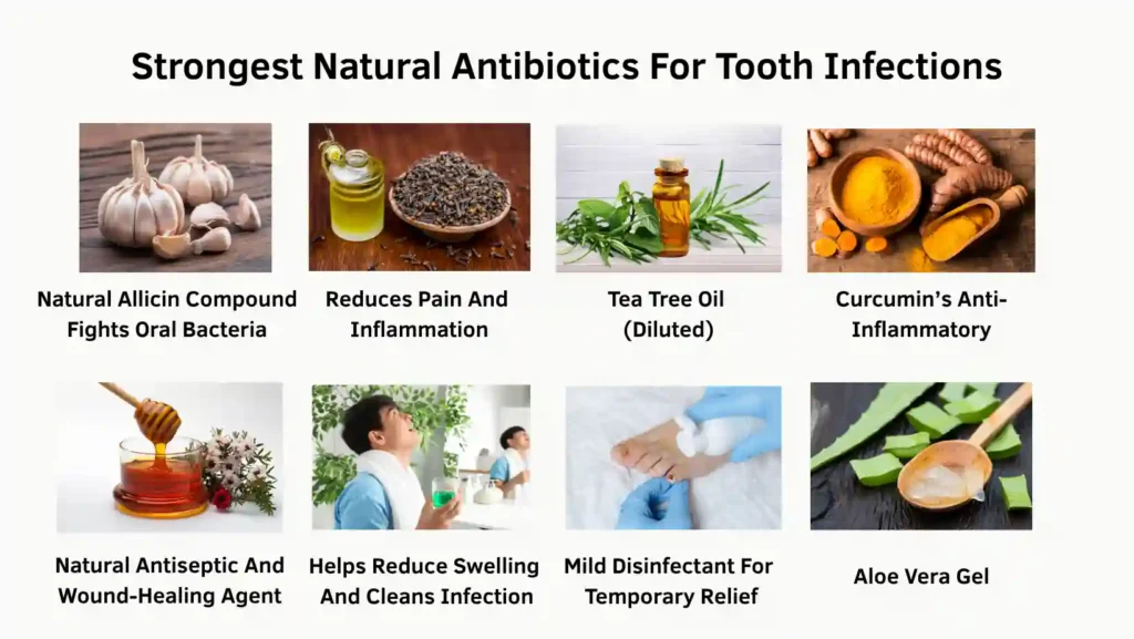Strongest Natural Antibiotics for Tooth Infection