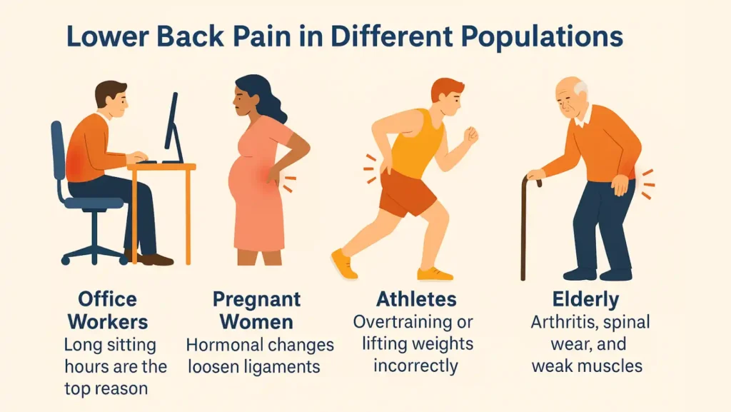 low back pain different population