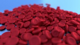 foods bad for anemia