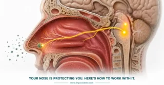 10 Natural Remedies to Stop Sneezing