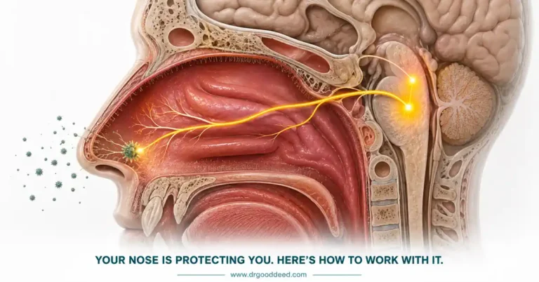 10 Natural Remedies to Stop Sneezing