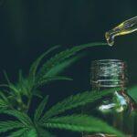Unlocking the Potential: 6 Uses and Advantages of CBD Oil with Side Effects