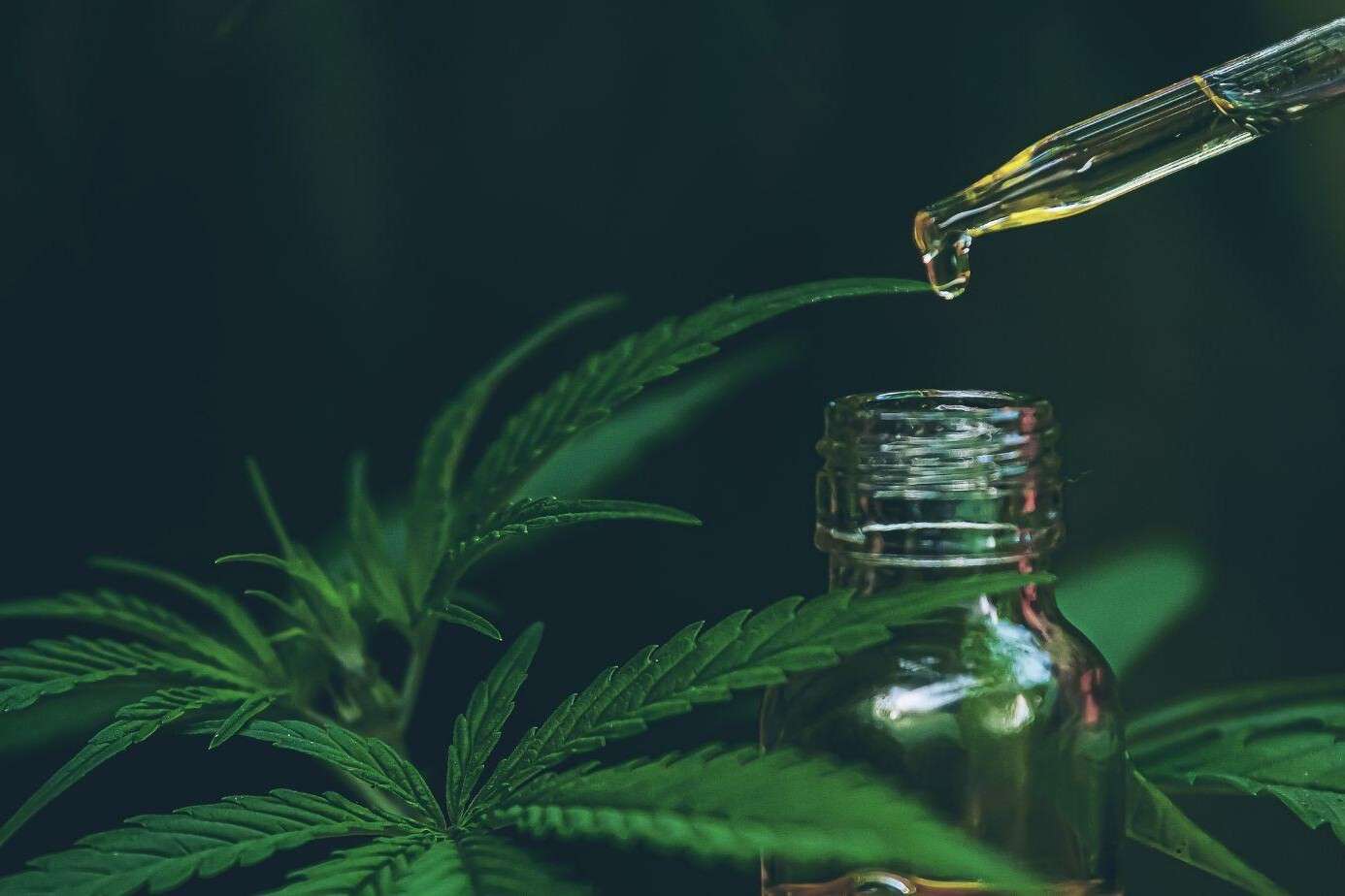 Unlocking the Potential 6 Uses and Advantages of CBD Oil with Side Effects