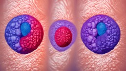 cancer in men's balls