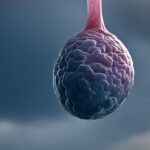 Chronic Right Testicular Pain: Causes, Diagnosis, and Treatment