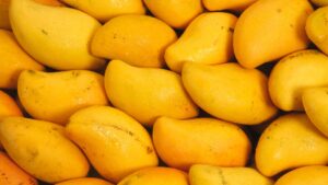 The Marvelous Mango: A Summer Delight for Health and Well-being