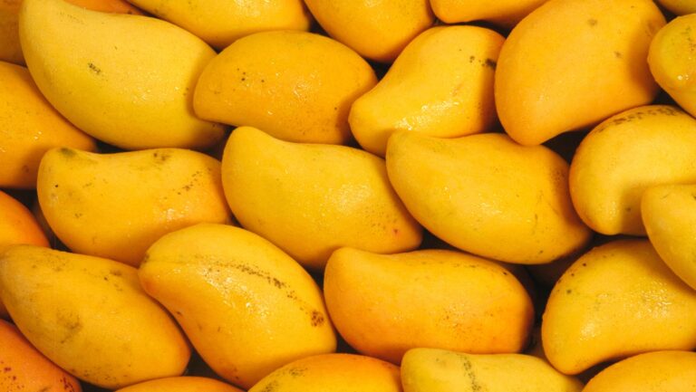 The Marvelous Mango: A Summer Delight for Health and Well-being