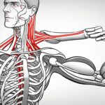 Signs Your Daily Routine Might Be Affecting Your Nerves