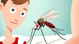 home remedies for dengue
