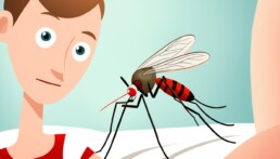 home remedies for dengue