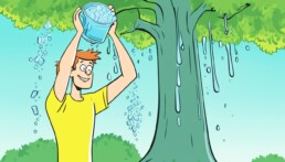 home remedies for heat stroke