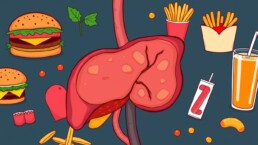 Impact of High Fat Diets on Liver Health