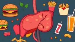 Impact of High Fat Diets on Liver Health