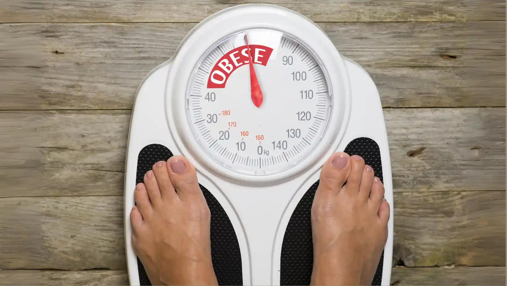 What Are the Risk Factors for Obesity?