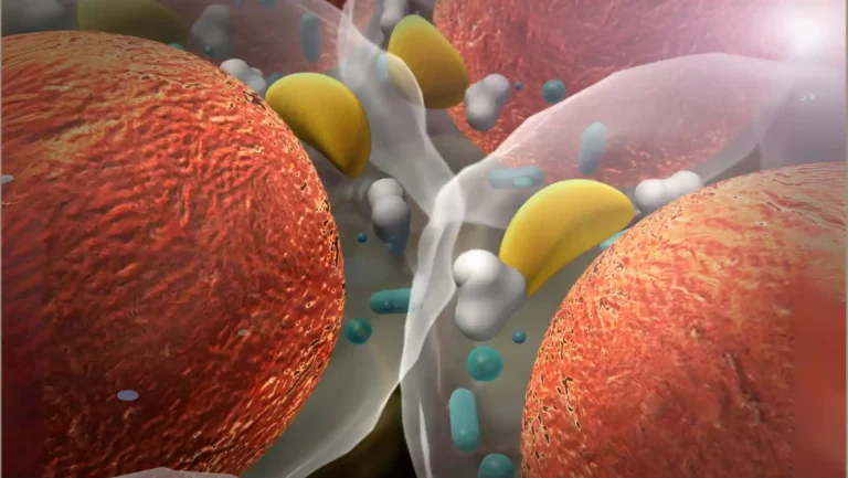 Hormonal Causes of Childhood Obesity Explained