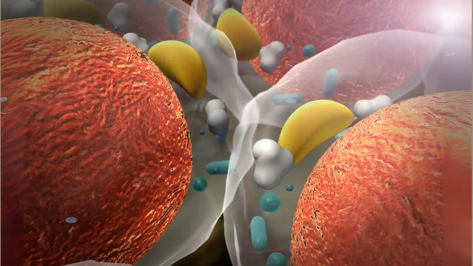 Hormonal Causes of Childhood Obesity Explained
