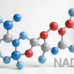What is NAD+: Role, Benefits, and How to Boost It Naturally