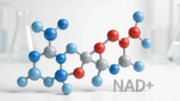 what is nad+