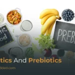 Probiotics and Prebiotics: What They Are & How They Support Gut Health