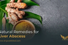 Natural Remedies for Liver Abscess