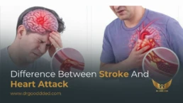 difference between stroke and heart attack