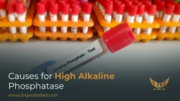 High Alkaline Phosphatase