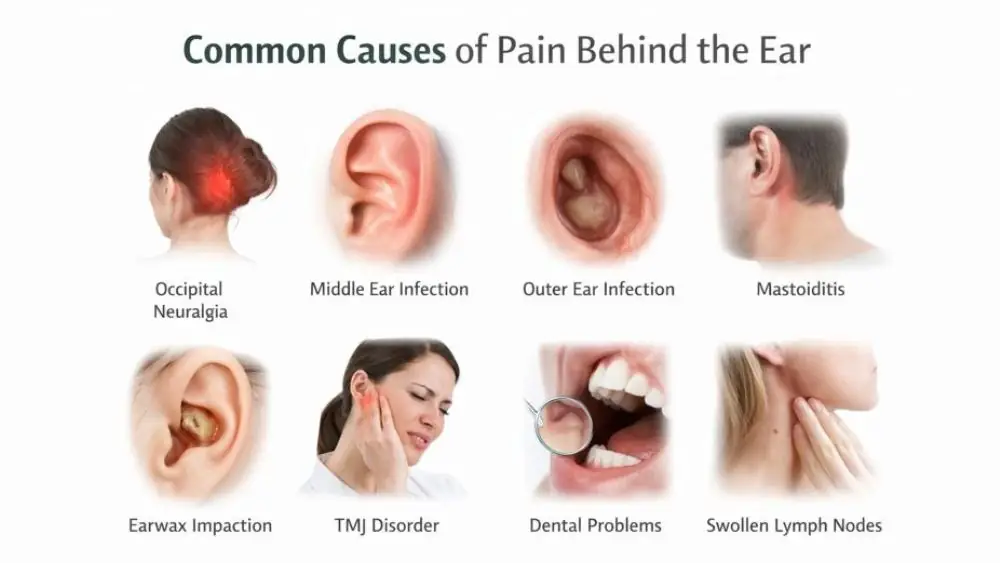 Common Causes of Pain Behind the Ear
