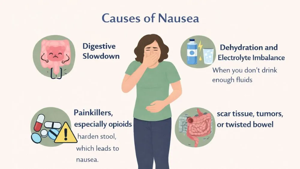 Causes of Nausea