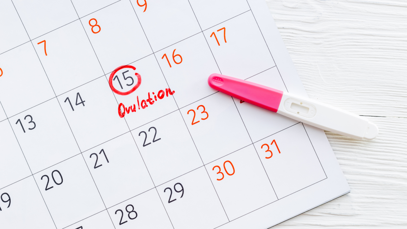 Does Plan B Work During Ovulation? Effectiveness, Timing, and Pregnancy Risk