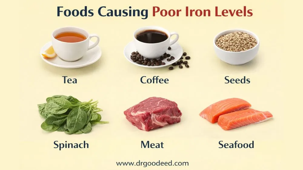 Foods to Avoid for Anemia: What Blocks Iron Absorption 6 Foods Causing Poor Iron Levels