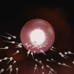 Is Infertility Genetic? Causes, Risks, and What You Should Know