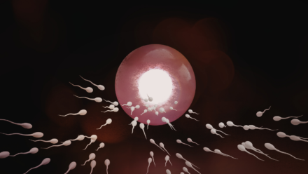 Is Infertility Genetic? Causes, Risks, and What You Should Know