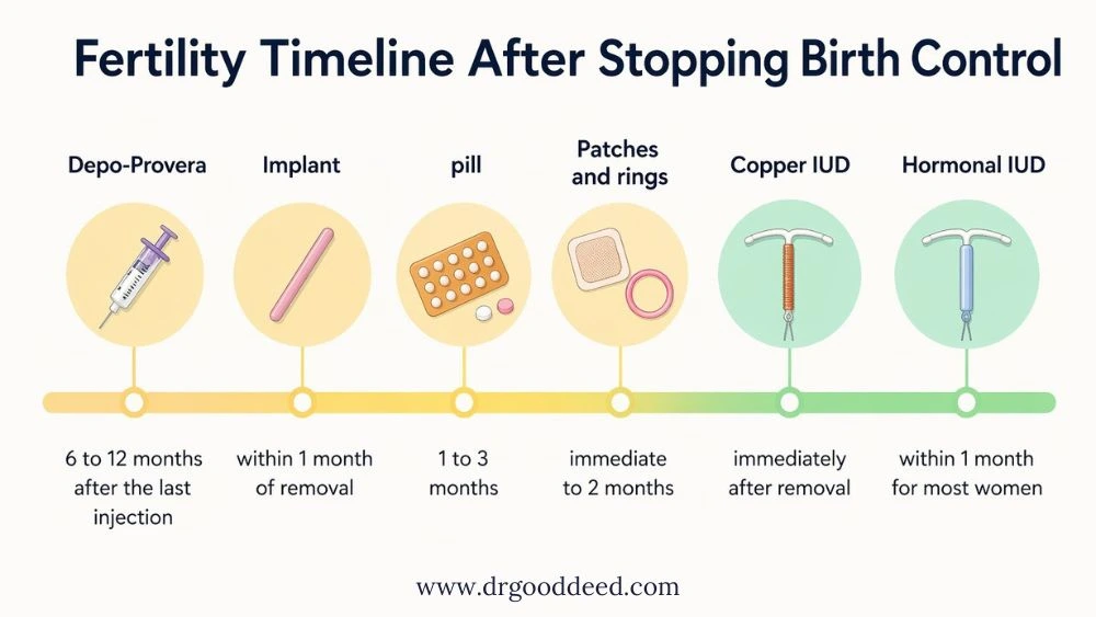 Fertility Timeline After Stopping Birth Control