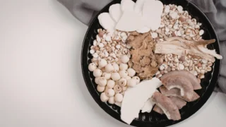 Traditional Chinese Medicine List: Herbs, Therapies & Core Concepts