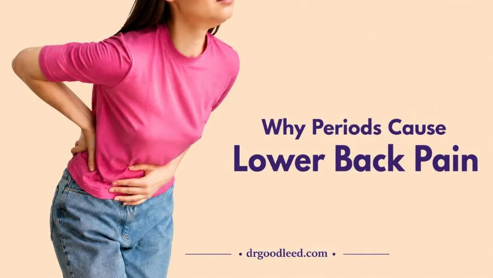 Why Periods Cause Lower Back Pain