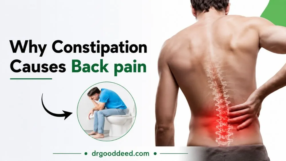 Constipation and Back Pain: Why It Happens and How to Get Relief 6 Why Constipation Causes Back Discomfort