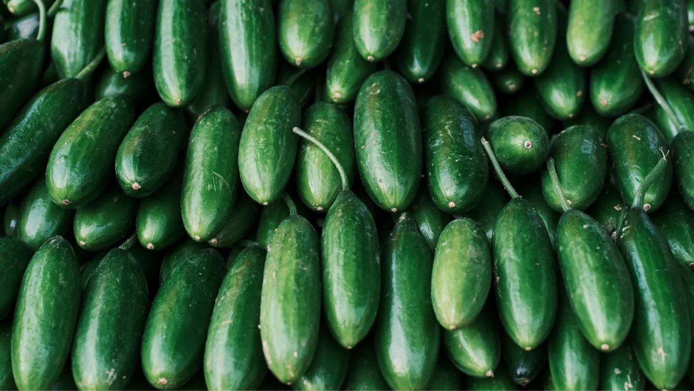 Side Effects of Cucumber Overdose: What Happens If You Eat Too Much?