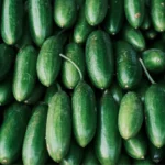 Side Effects of Cucumber Overdose: What Happens If You Eat Too Much?