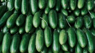 Side Effects of Cucumber Overdose: What Happens If You Eat Too Much?
