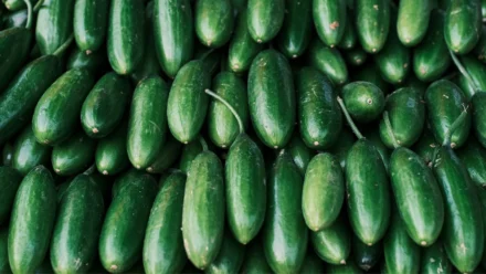 Side Effects of Cucumber Overdose: What Happens If You Eat Too Much?