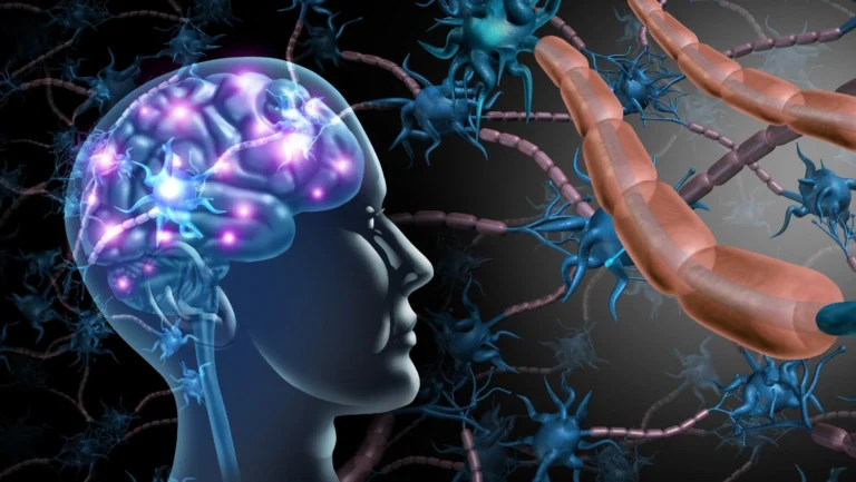 Vagus Nerve Gut Health Connection: How Your Brain Controls Digestion