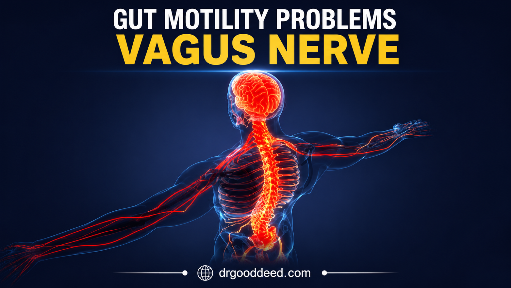 Gut Motility Problems Vagus Nerve