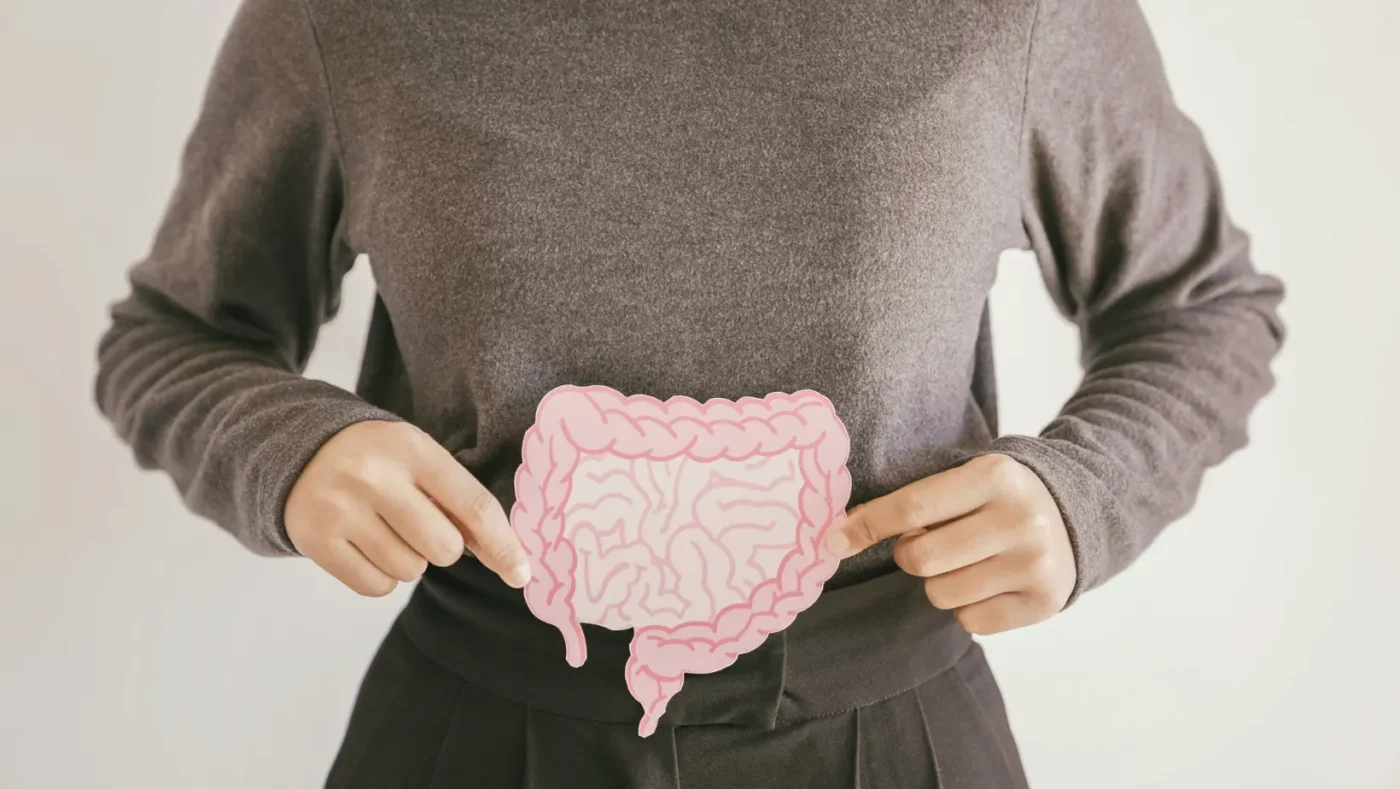 Gut Health Diet Plan: Best Foods, Meal Ideas, and Tips for Better Digestion