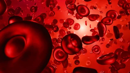 What Type of Cancer Causes Low Hemoglobin? Understanding Cancer-Related Anemia and Warning Signs